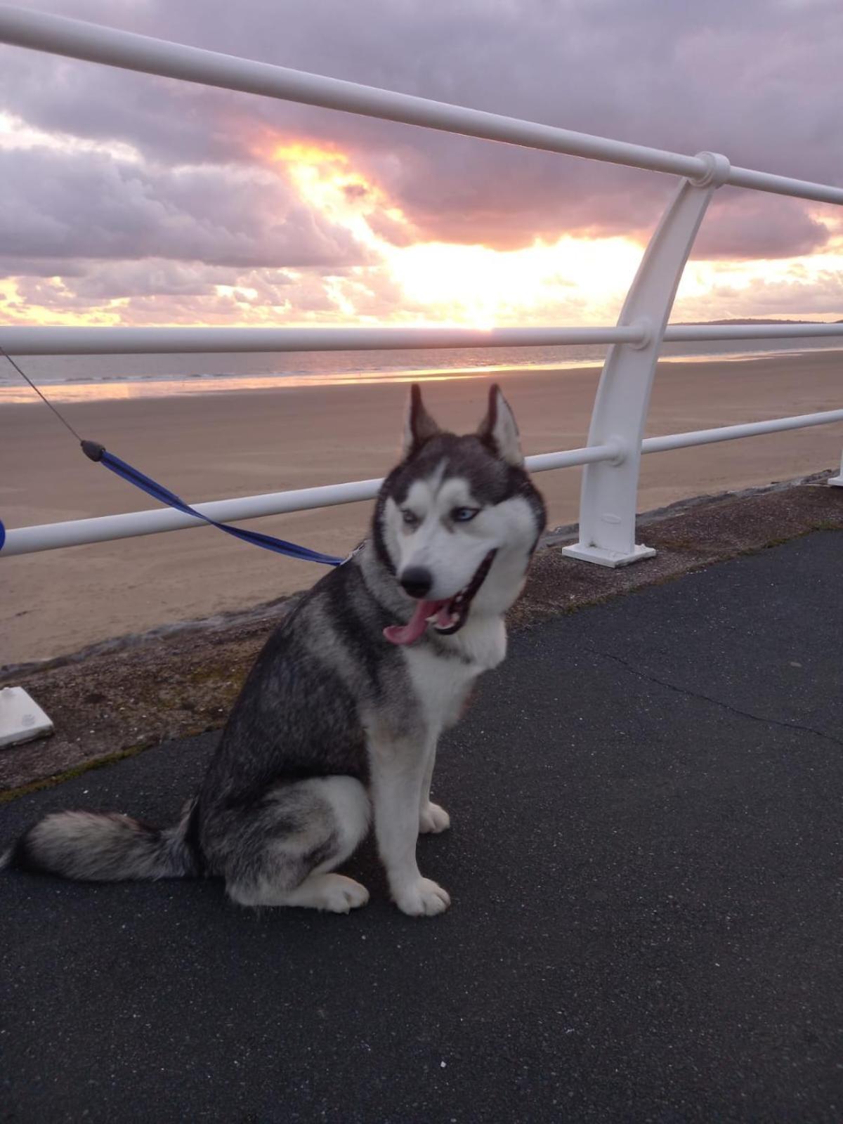 Driftmark Beachfront Location Aberavon Beach Sea Views Large Driveway Parking Private Site Fibre Optic Wi Fi 塔尔伯特港 外观 照片